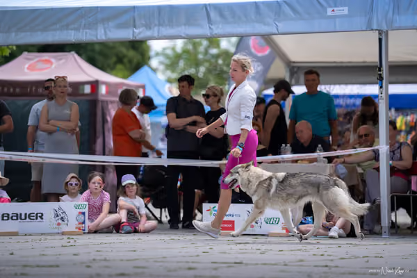 Florinka Olomouc — Krajská výstava – 7. června 2026
