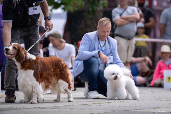 Florinka Olomouc — Krajská výstava – 7. června 2026