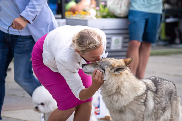 Florinka Olomouc — Krajská výstava – 7. června 2026