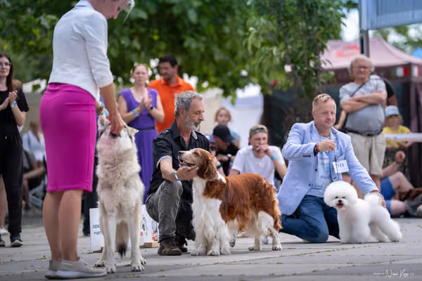 Florinka Olomouc — Krajská výstava – 7. června 2026