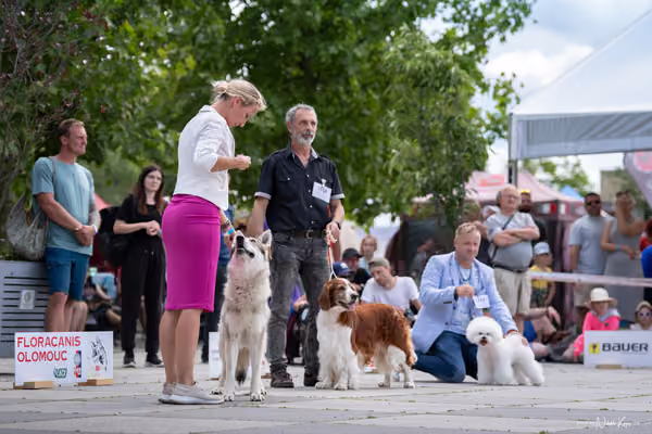 Florinka Olomouc — Krajská výstava – 7. června 2026