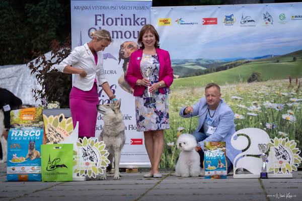 Florinka Olomouc — Krajská výstava – 7. června 2026