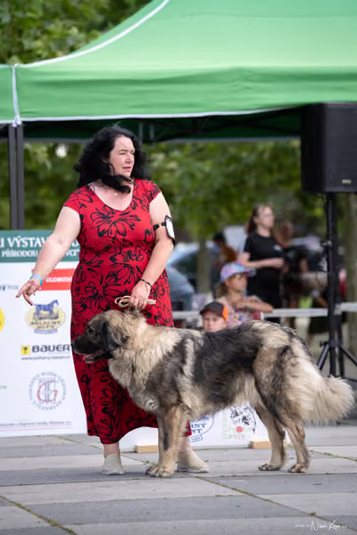 Florinka Olomouc — Krajská výstava – 7. června 2026