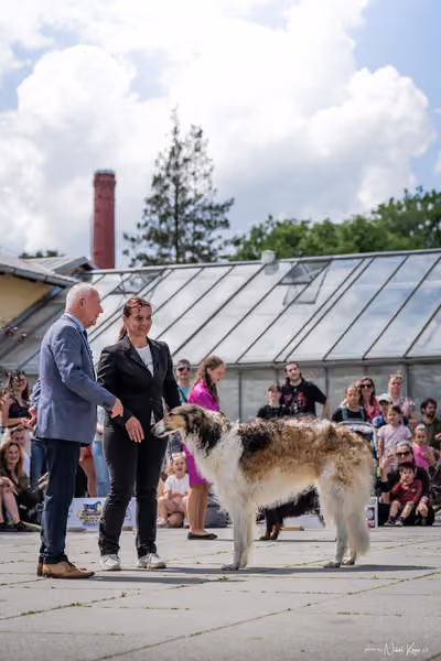 Florinka Olomouc — Krajská výstava – 7. června 2026