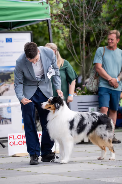 Florinka Olomouc — Krajská výstava – 7. června 2026