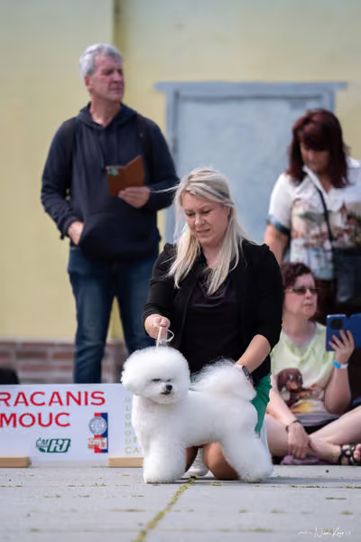 Florinka Olomouc — Krajská výstava – 7. června 2026