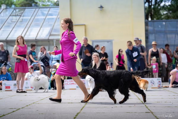 Florinka Olomouc — Krajská výstava – 7. června 2026