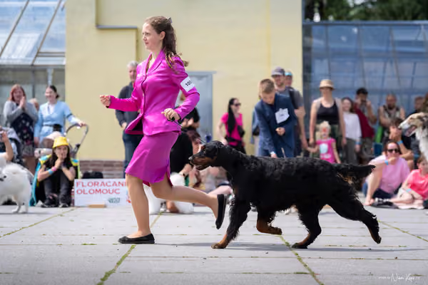 Florinka Olomouc — Krajská výstava – 7. června 2026