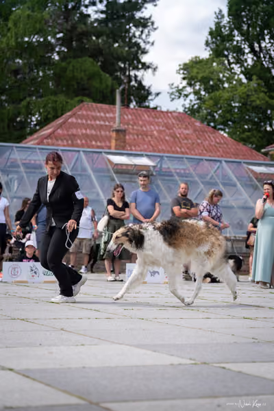 Florinka Olomouc — Krajská výstava – 7. června 2026