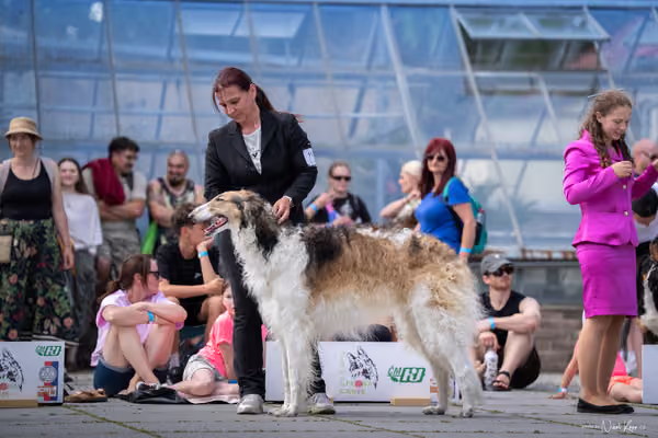 Florinka Olomouc — Krajská výstava – 7. června 2026