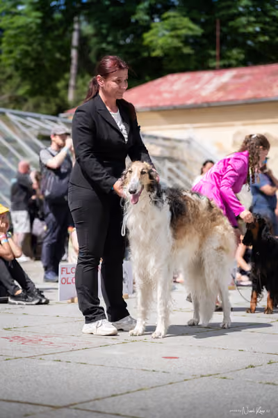 Florinka Olomouc — Krajská výstava – 7. června 2026