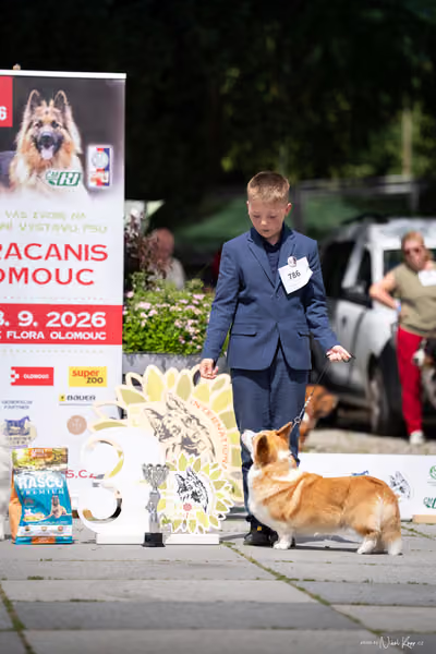 Florinka Olomouc — Krajská výstava – 7. června 2026