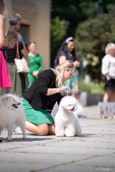 Florinka Olomouc — Krajská výstava – 7. června 2026