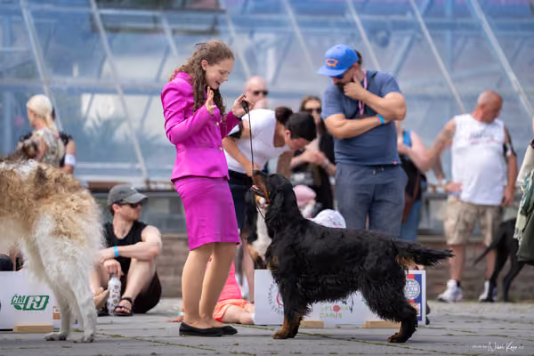 Florinka Olomouc — Krajská výstava – 7. června 2026