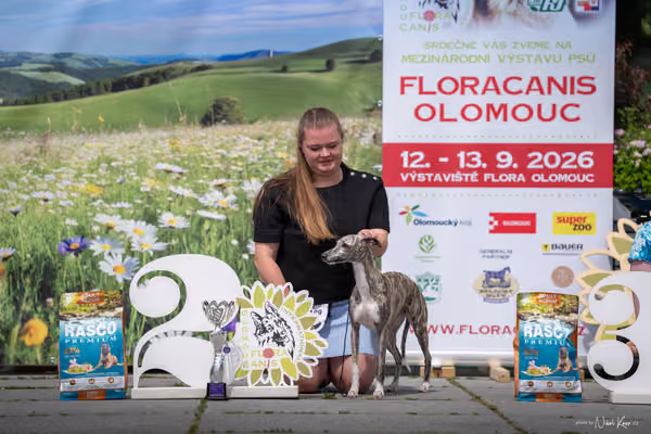 Florinka Olomouc — Krajská výstava – 7. června 2026