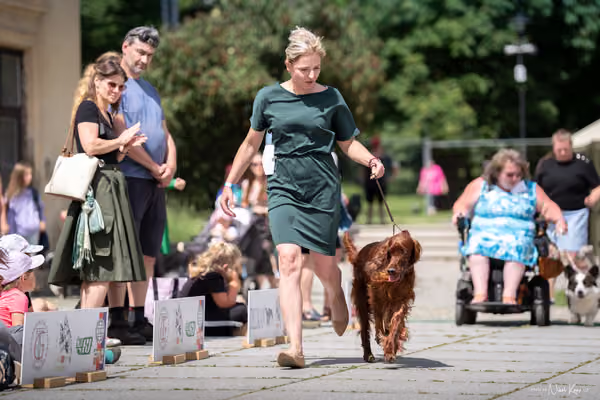 Florinka Olomouc — Krajská výstava – 7. června 2026