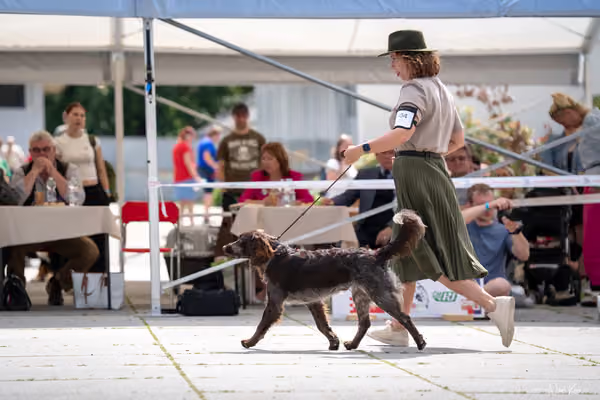 Florinka Olomouc — Krajská výstava – 7. června 2026