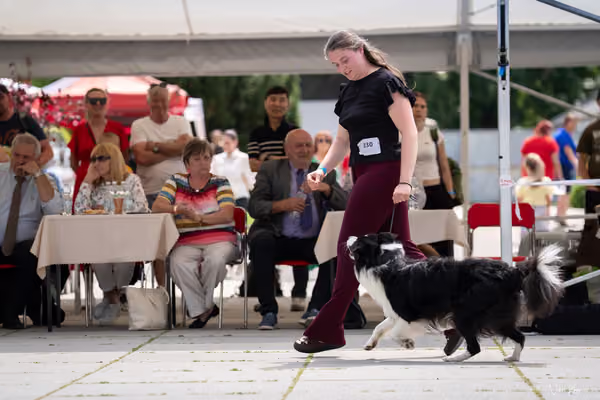 Florinka Olomouc — Krajská výstava – 7. června 2026