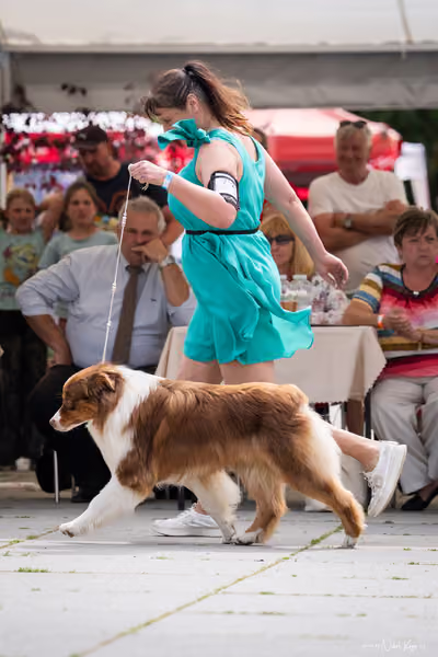 Florinka Olomouc — Krajská výstava – 7. června 2026