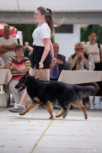 Florinka Olomouc — Krajská výstava – 7. června 2026