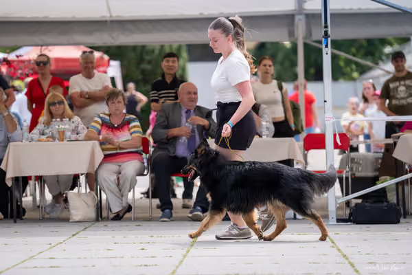 Florinka Olomouc — Krajská výstava – 7. června 2026