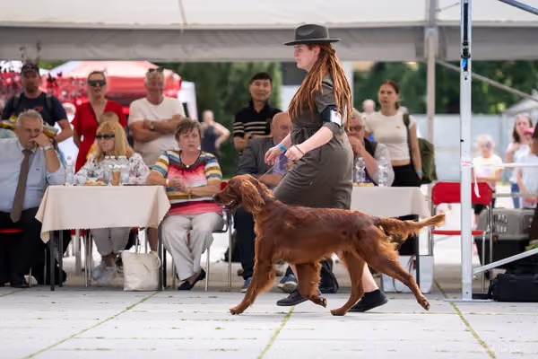 Florinka Olomouc — Krajská výstava – 7. června 2026