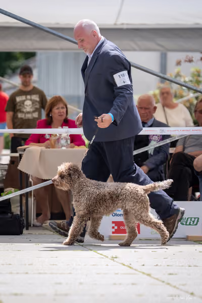 Florinka Olomouc — Krajská výstava – 7. června 2026