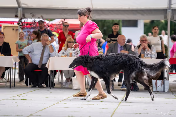 Florinka Olomouc — Krajská výstava – 7. června 2026