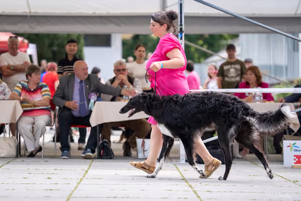 Florinka Olomouc — Krajská výstava – 7. června 2026