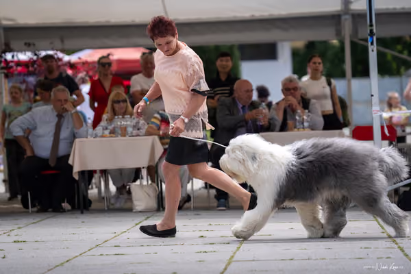 Florinka Olomouc — Krajská výstava – 7. června 2026
