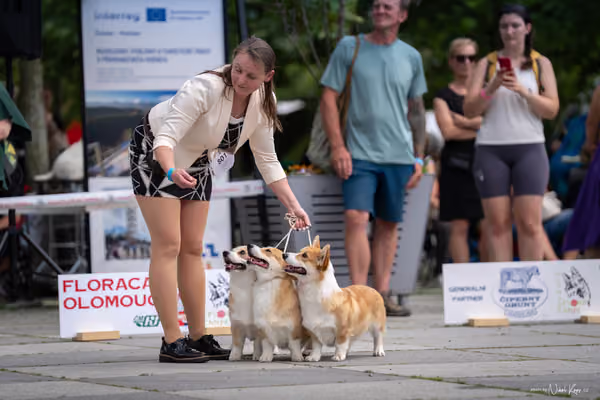 Florinka Olomouc — Krajská výstava – 7. června 2026