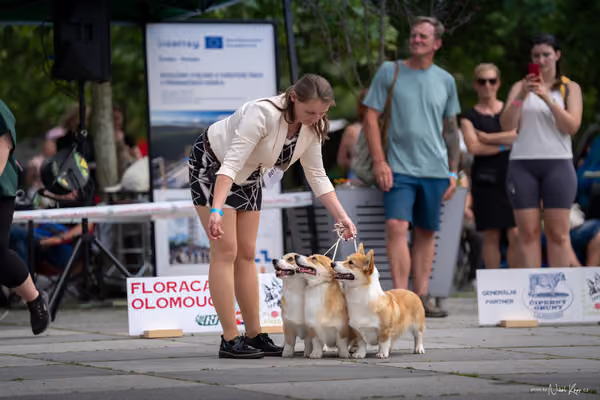 Florinka Olomouc — Krajská výstava – 7. června 2026