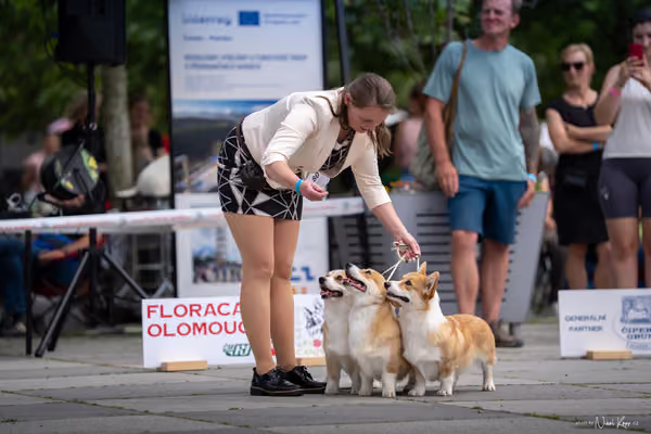 Florinka Olomouc — Krajská výstava – 7. června 2026