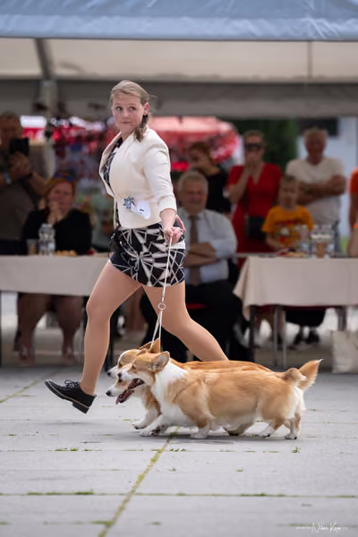 Florinka Olomouc — Krajská výstava – 7. června 2026