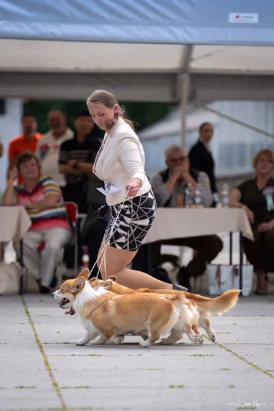 Florinka Olomouc — Krajská výstava – 7. června 2026