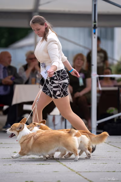 Florinka Olomouc — Krajská výstava – 7. června 2026