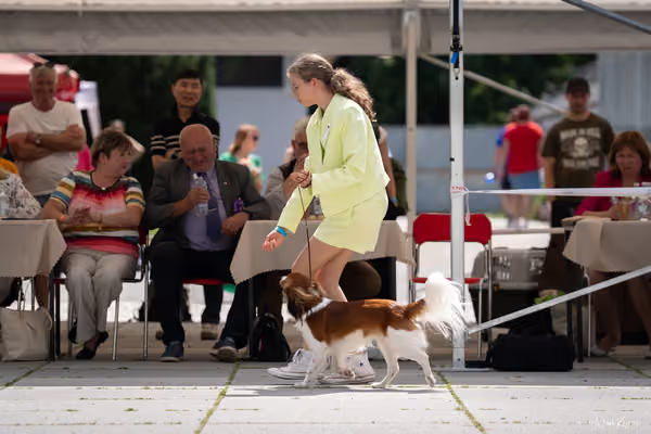 Florinka Olomouc — Krajská výstava – 7. června 2026