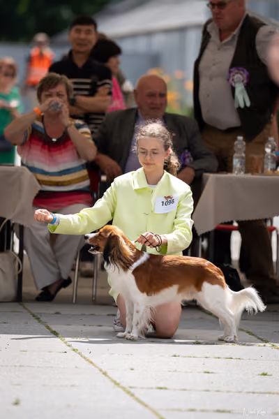 Florinka Olomouc — Krajská výstava – 7. června 2026