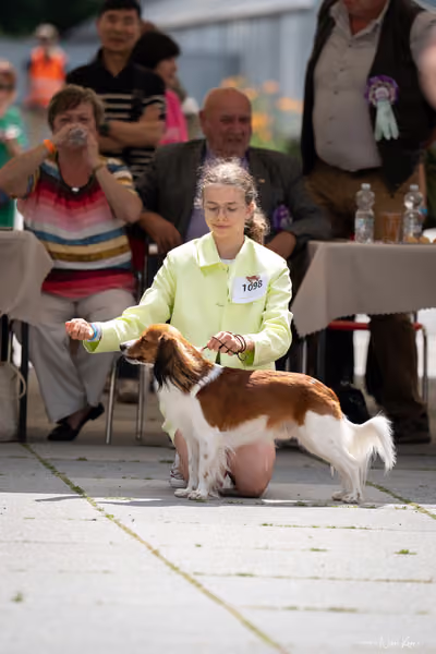 Florinka Olomouc — Krajská výstava – 7. června 2026