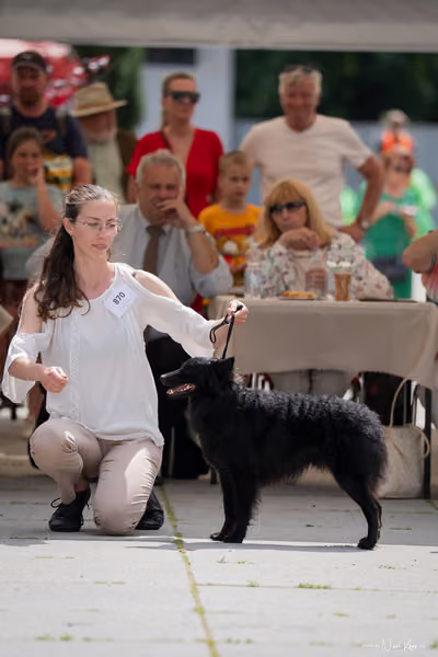 Florinka Olomouc — Krajská výstava – 7. června 2026