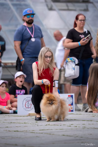 Florinka Olomouc — Krajská výstava – 7. června 2026