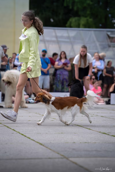 Florinka Olomouc — Krajská výstava – 7. června 2026
