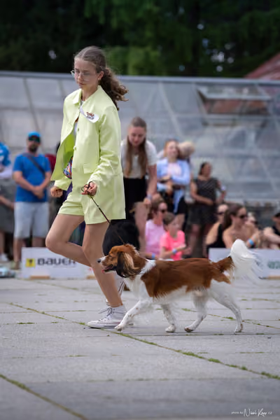 Florinka Olomouc — Krajská výstava – 7. června 2026