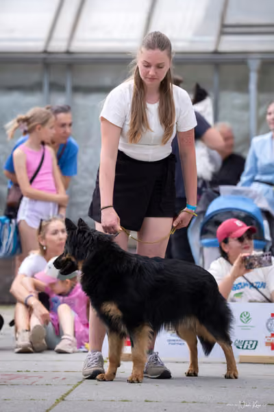 Florinka Olomouc — Krajská výstava – 7. června 2026
