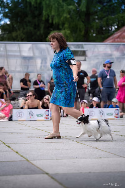 Florinka Olomouc — Krajská výstava – 7. června 2026