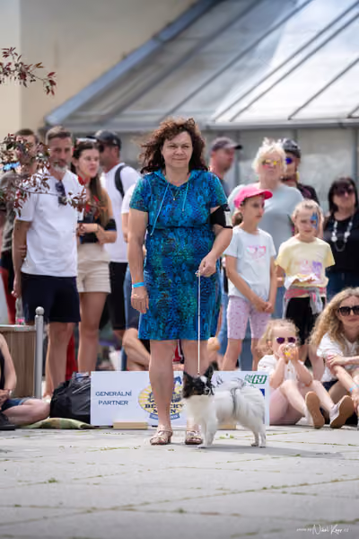 Florinka Olomouc — Krajská výstava – 7. června 2026