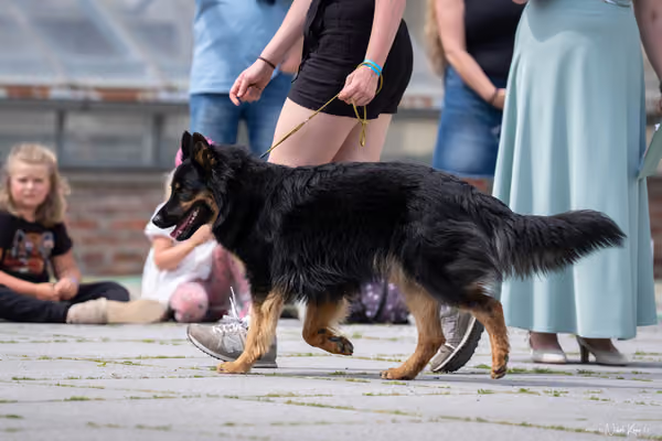 Florinka Olomouc — Krajská výstava – 7. června 2026