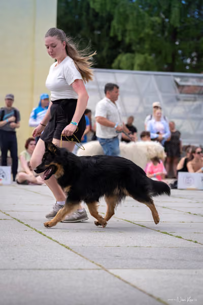 Florinka Olomouc — Krajská výstava – 7. června 2026