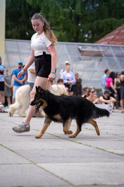 Florinka Olomouc — Krajská výstava – 7. června 2026