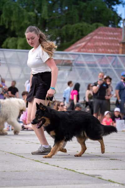 Florinka Olomouc — Krajská výstava – 7. června 2026